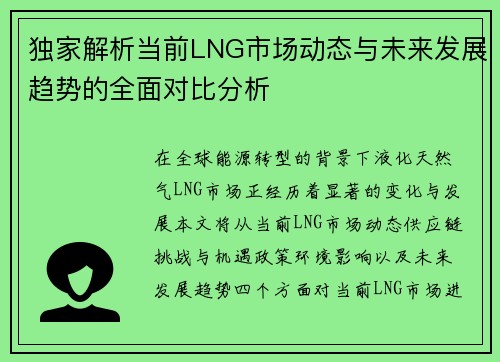 独家解析当前LNG市场动态与未来发展趋势的全面对比分析